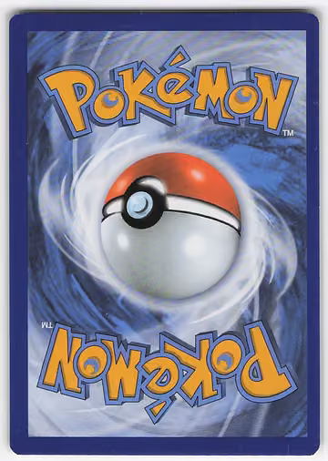 Chimchar, Rückseite