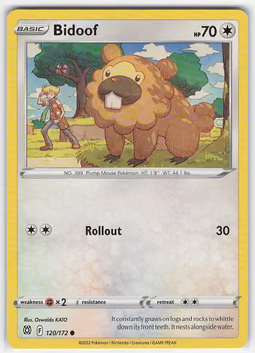 Bidoof — Brilliant Stars · #120 · Englisch, Vorderseite
