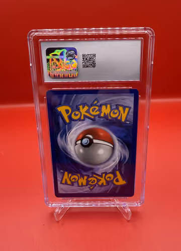 Pikachu, Rückseite