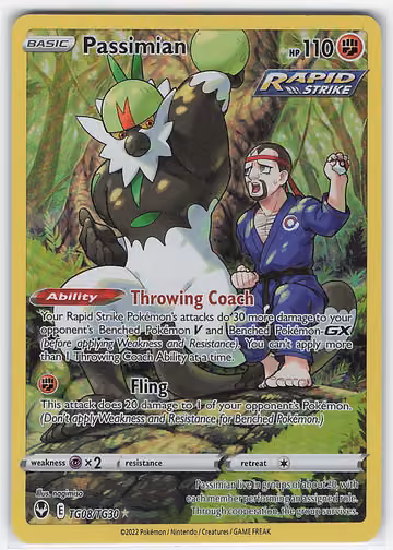Passimian — Silver Tempest Trainer Gallery · #TG08 · Englisch, Vorderseite