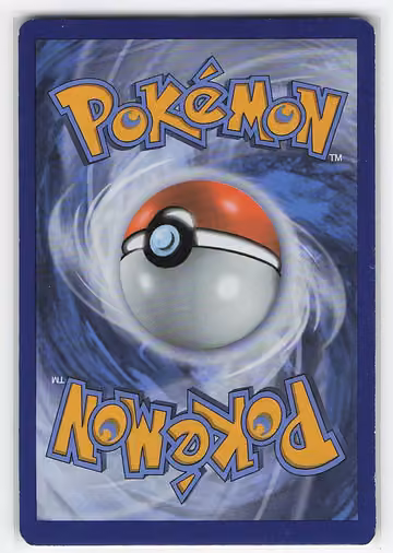 Frogadier, Rückseite