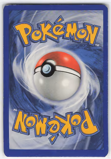 Team Magma's Camerupt, Rückseite