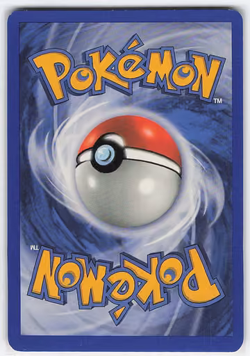 Omanyte, Rückseite