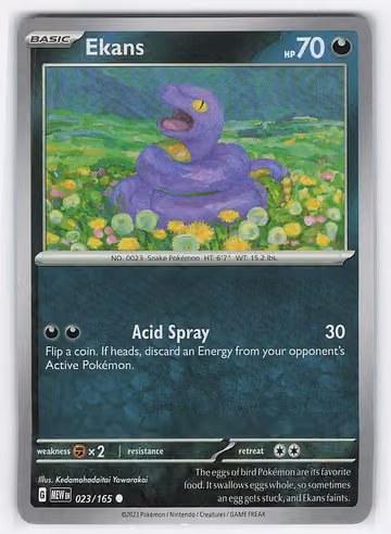 Ekans — 151 · #23 · Englisch, Vorderseite