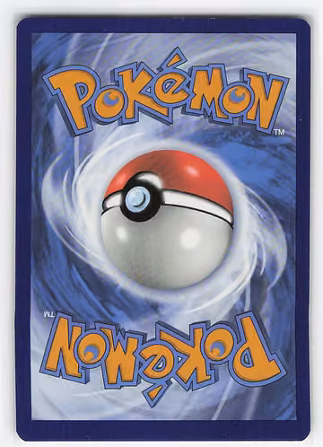 Ditto, Rückseite