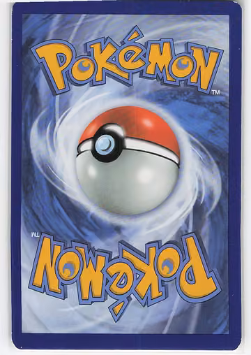 Porygon, Rückseite