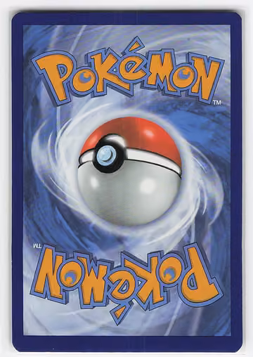 Sharpedo, Rückseite