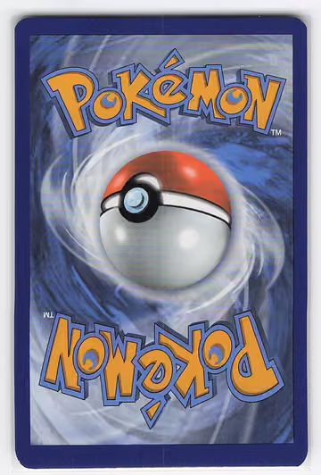 Mudkip, Rückseite