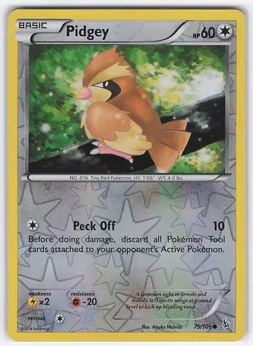 Pidgey — Flashfire · #75 · Englisch, Vorderseite