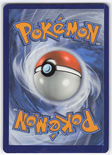 Pachirisu, Rückseite