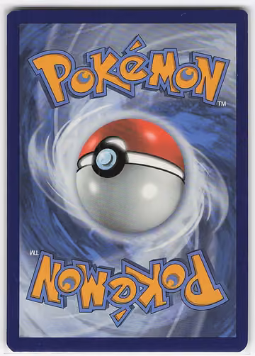 Chimchar, Rückseite