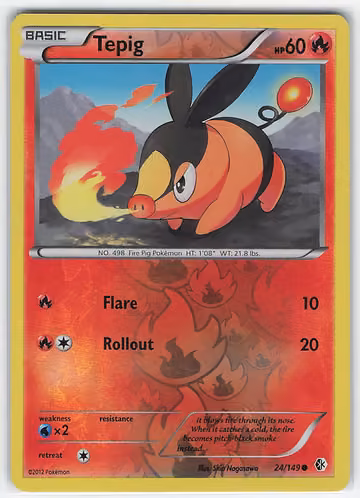 Tepig — Boundaries Crossed · #24 · Englisch, Vorderseite