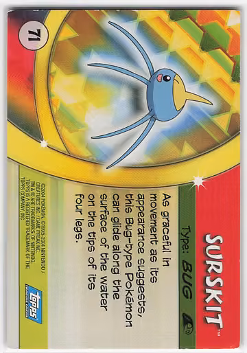 Surskit, Rückseite