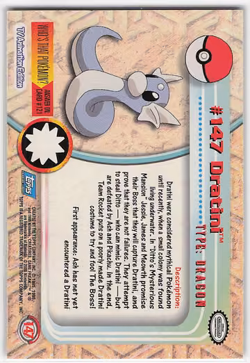 Dratini, Rückseite