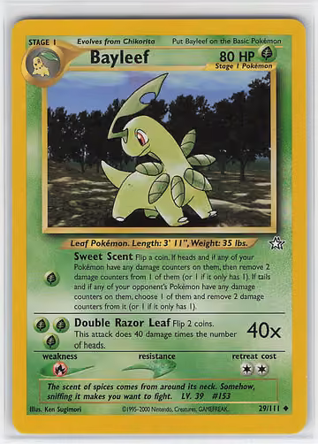 Bayleef — Neo Genesis · #29 · Englisch, Vorderseite
