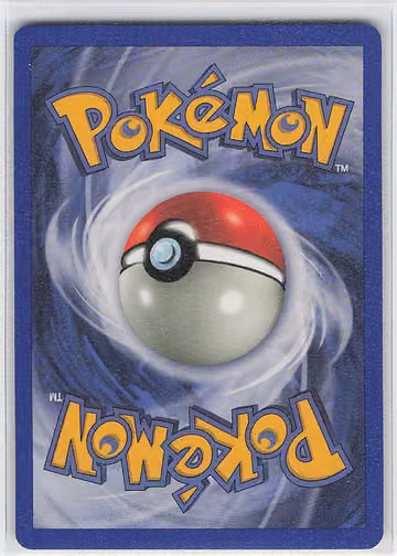 Dark Ursaring, Rückseite