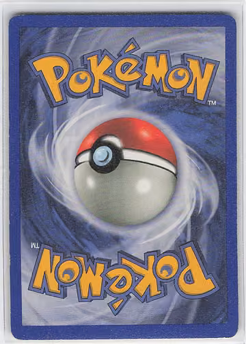 Seel, Rückseite