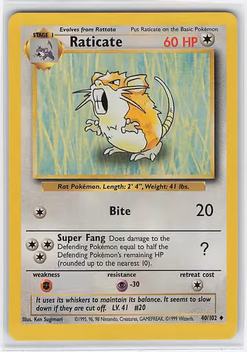 Raticate — Base Set · #40 · Englisch, Vorderseite