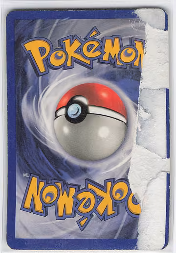 Metapod, Rückseite