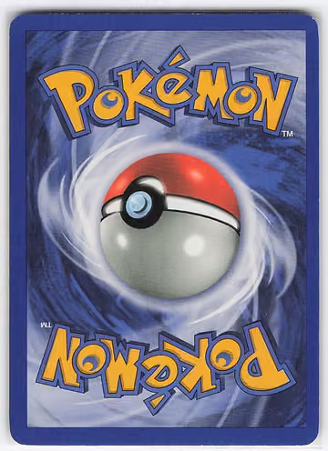 Dark Electrode, Rückseite