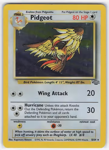 Pidgeot — Jungle · #8 · Englisch, Vorderseite