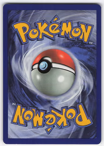 Omanyte, Rückseite
