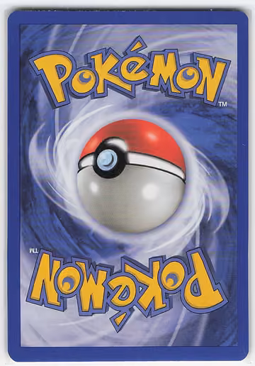 Omanyte, Rückseite