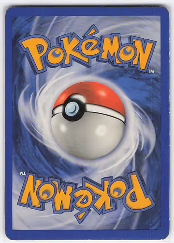 Team Magma's Lairon, Rückseite